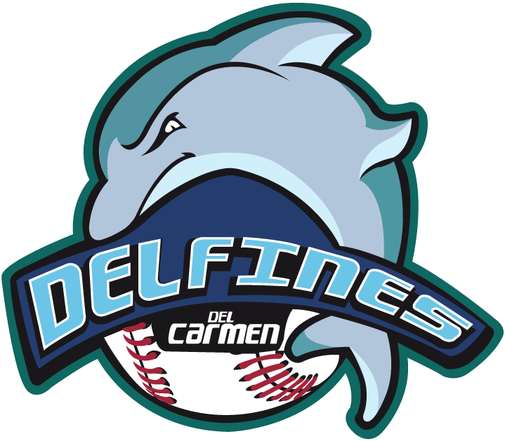 Carmen Delfines primary logo 2012-pres iron on heat transfer